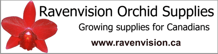 Ravenvision